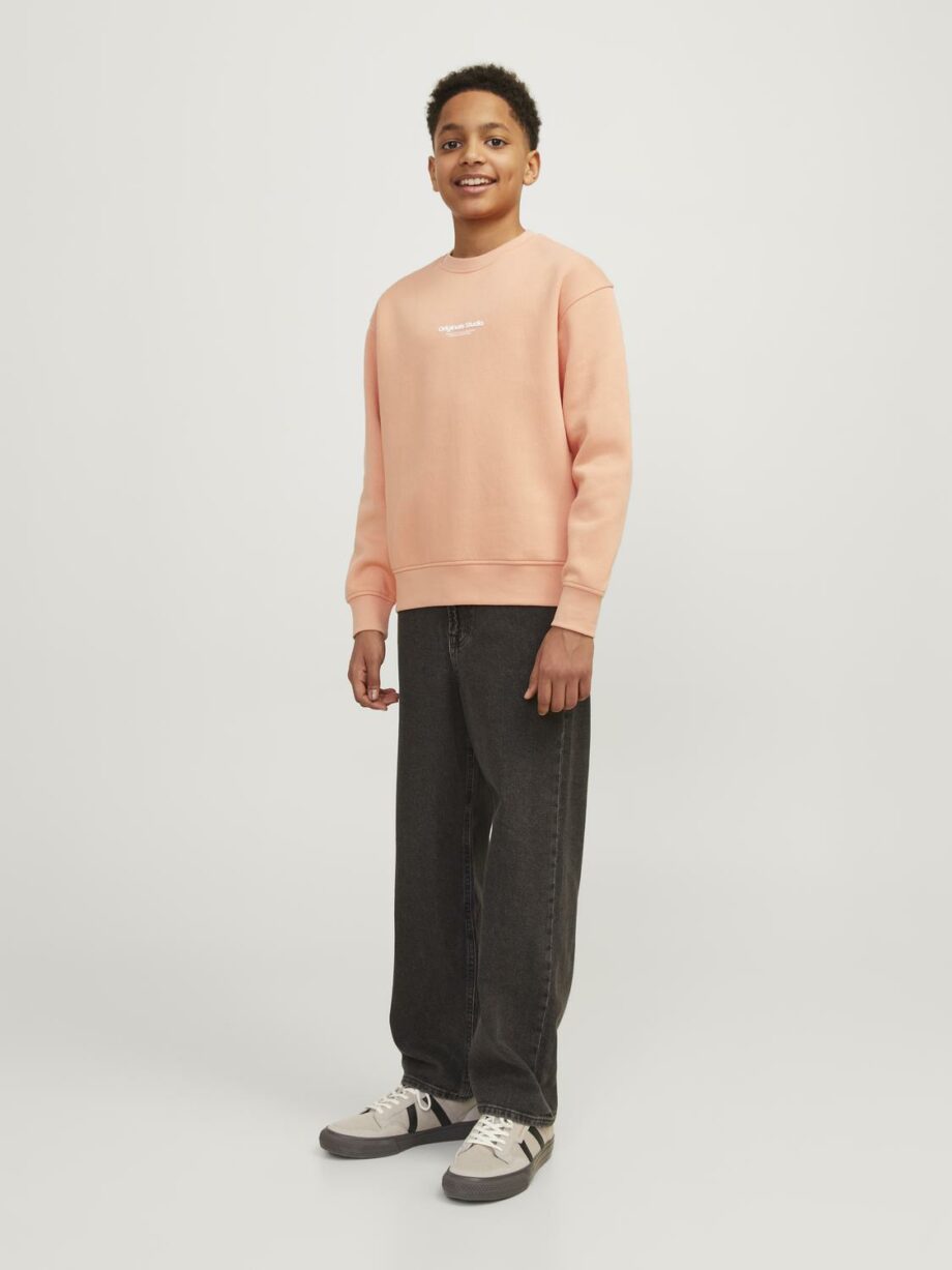 JACK&JONES JUNIOR - JJORVESTERBRO SWEAT CREW NECK NOOS JNR