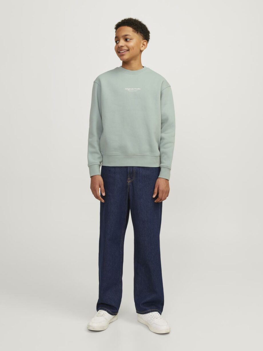 JACK&JONES JUNIOR - JORVESTERBRO SWEAT CREW NECK NOOS JNR