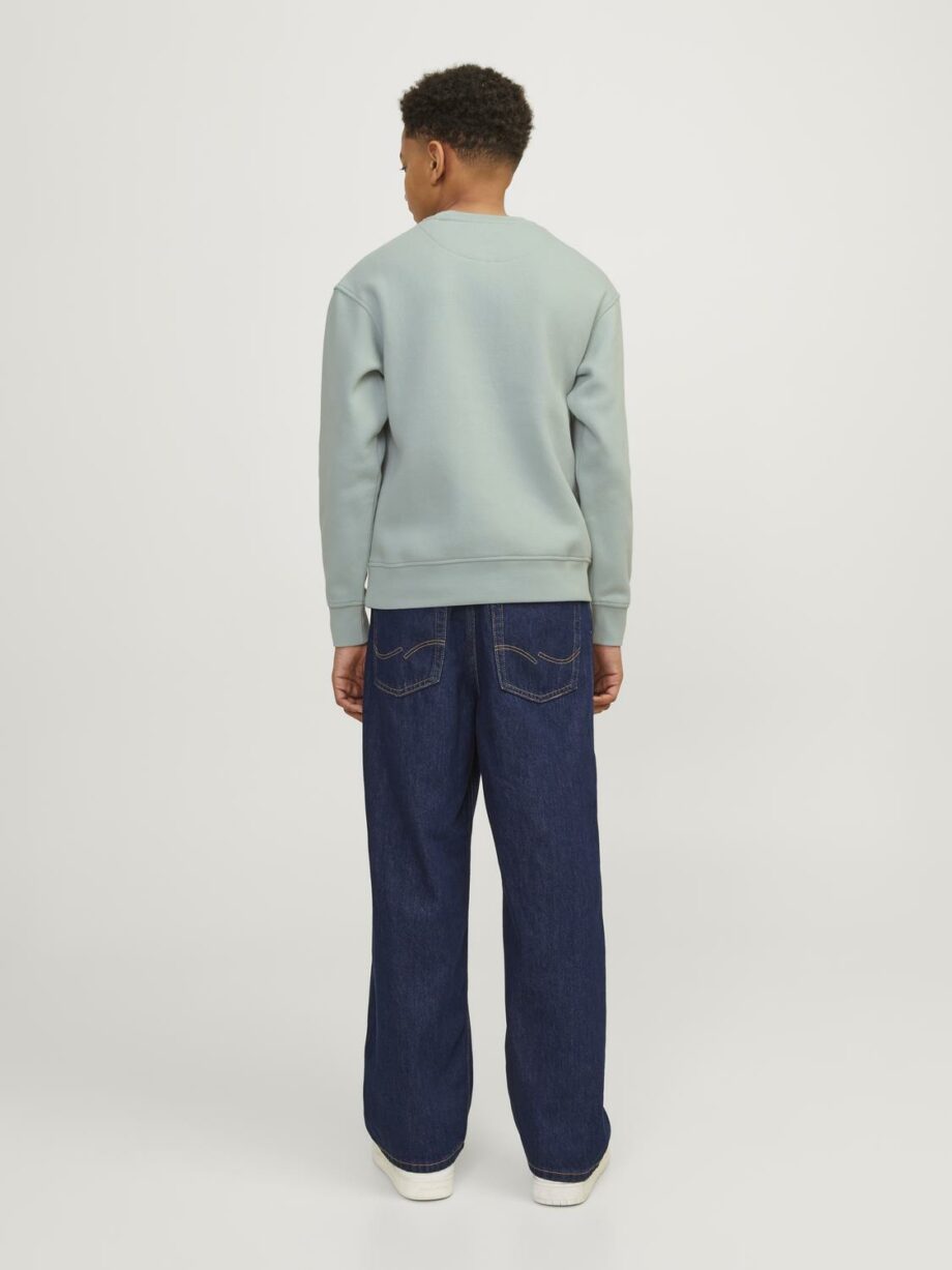 JACK&JONES JUNIOR - JORVESTERBRO SWEAT CREW NECK NOOS JNR